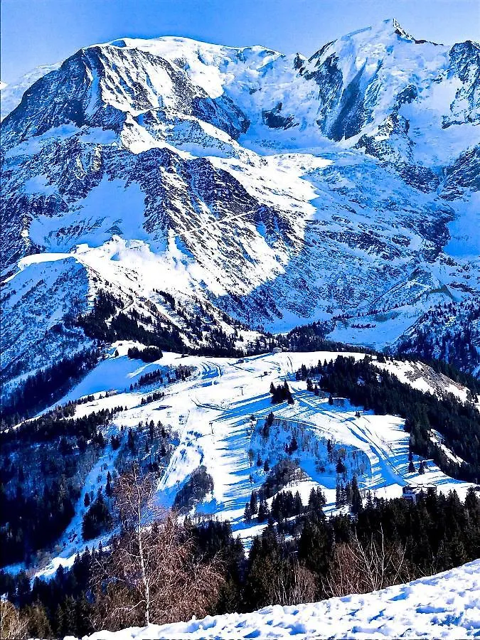 Chalet Amour Blanc Chamonix Les Houches 0*,