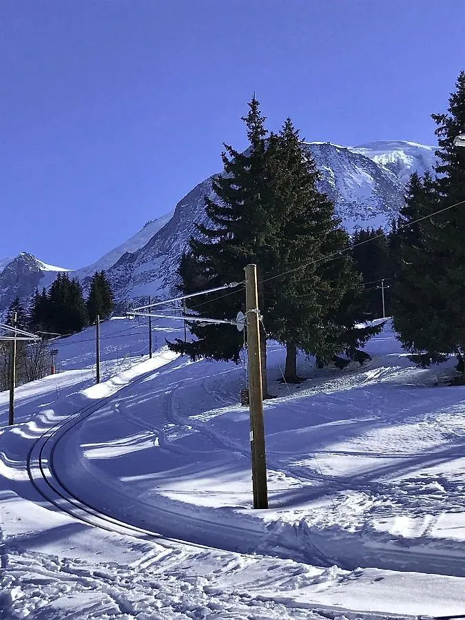 Chalet Amour Blanc Chamonix Les Houches